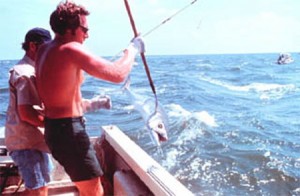 King Mackerel fishing