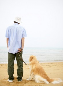 Dog on Beach